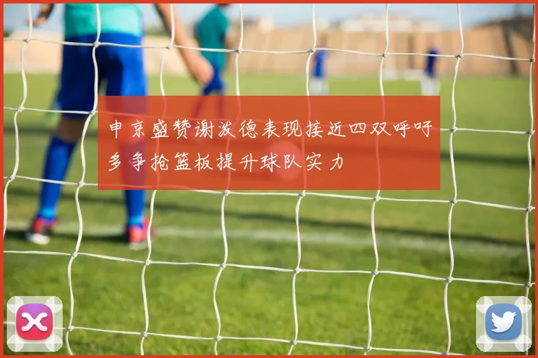 申京盛赞谢泼德表现接近四双呼吁多争抢篮板提升球队实力