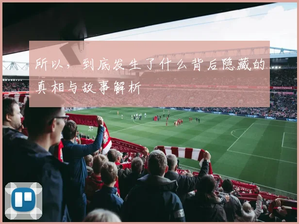 所以，到底发生了什么背后隐藏的真相与故事解析